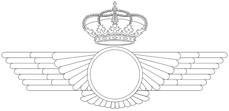 ejército del aire